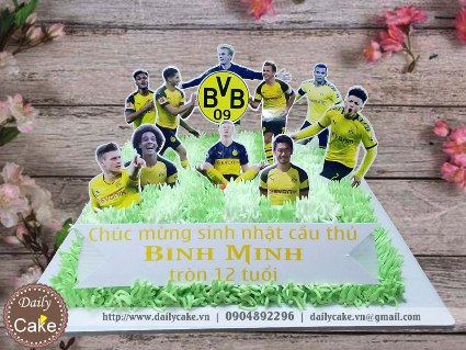 Bánh gato sinh nhật in hình các cầu thủ trên sân cỏ